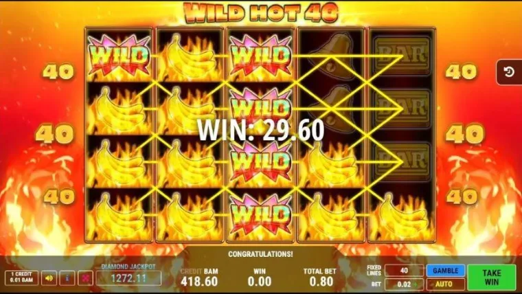 Función Gamble y símbolos especiales de Wild Hot 40